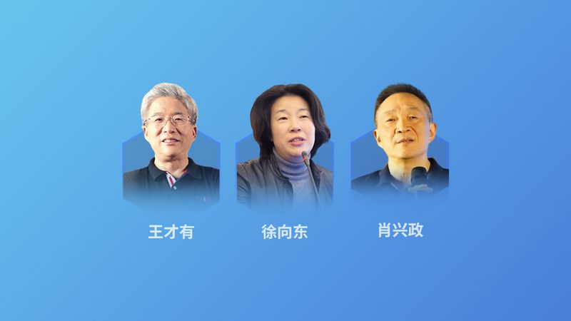 头部推拿手法教学的革新之路：揭秘头部推拿的奥秘